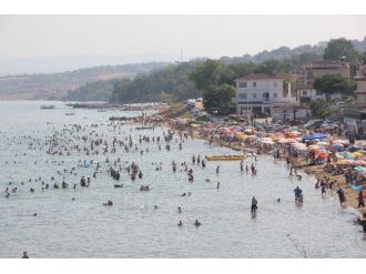 Sinop Sahilleri Tıklım Tıklım