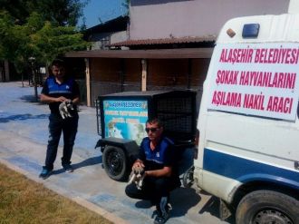 Belediyenin Şefkat Eli Sokak Hayvanlarına Da Uzandı