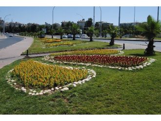 Şanlıurfa ‘Büyükşehirle’ Çiçek Açıyor