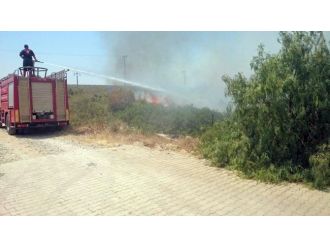 Didim’deki Yangın Sitelere Sıçramadan Söndürüldü