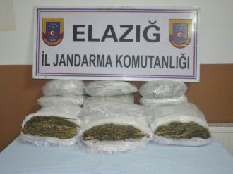 Elazığ’da 33 Kilo Esrar Ele Geçirildi