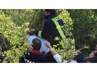 Takla Atan Araçtan Fırlayan Yolcu, Ağaçta Asılı Kaldı