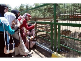 Kadın Meclisi Üyeleri Hayvanat Bahçesini Gezdi