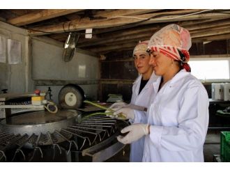 Türkiye’nin Bütün Kuşkonmaz İhtiyacını Karşılıyor