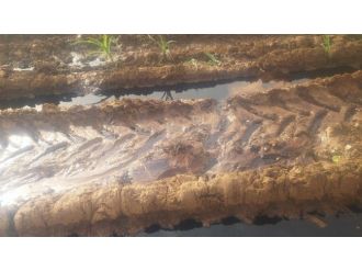 Silopi’de Botaş Petrol Hattına Bombalı Saldırı