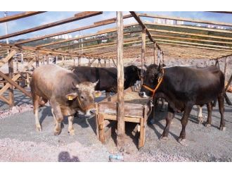 Kurban Komisyonundan Önemli Duyuru