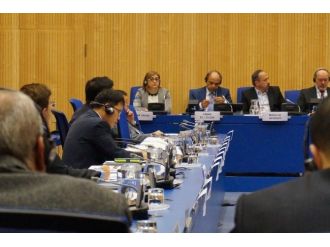 Fatma Şahin, Viyana’da