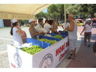 Tarım Kampı Ürünleri Öğrenciler Tarafından Satılıyor