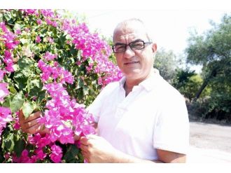 Türkiye, Hollanda’daki Çiçek Krizini Avantaja Çevirecek