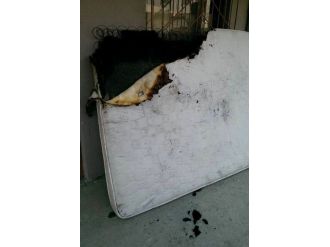 Çocuğun Çıkardığı İddia Edilen Yangın Söndürüldü