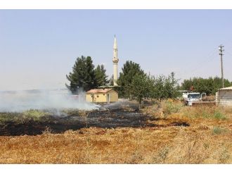 Arıları Kaçırmak İsterken Yangın Çıktı