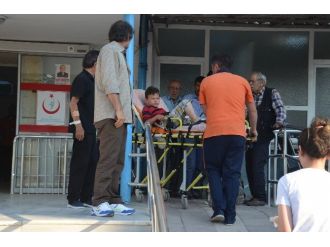 Üzerine Bastığı Yılan Soktu