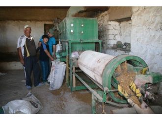 Sertifikalı Tohumluk Alamayan Çiftçiler Kendi Tohumluğunu Hazırlıyor