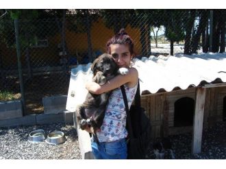 Çok Sayıda Can Sahiplenmeyi Bekliyor