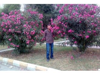 Gümüşhane’de Trafik Kazası: 1 Ölü