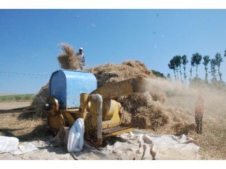 Sıcak Havada Çiftçinin Patoz Mesaisi