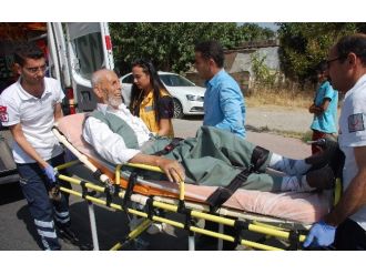 Adıyaman’da Engelli Bisikletinden Düşen Yaşlı Adam Yaralandı