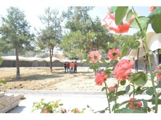 Osmanlı Padişahları Tarih Şeridi Projesi Hizmete Giriyor