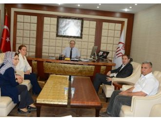 Eş Başkanlardan Siirt Valisine Ziyaret