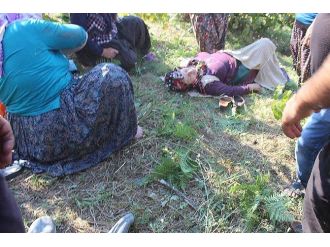 Tarım Aracı Tarlaya Uçtu: 7 Yaralı