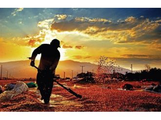 7. Tarım Ve İnsan Fotoğraf Yarışması Başvuruları Başladı