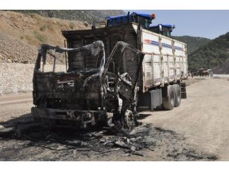 Teröristler 3 Aracı Yaktı