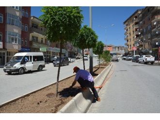 Hakkari’de Ağaç Sulama Çalışması