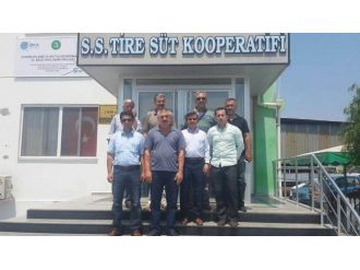 Tire Süt Kooperatifi’ne İnceleme Gezisi Gerçekleştirildi