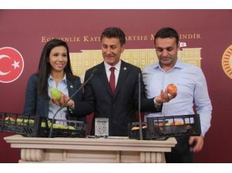 Meclis’te Meyveli Toplantı