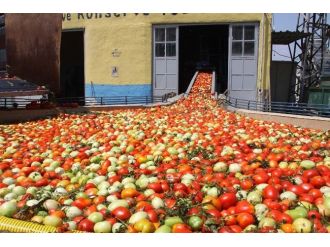 İnegöl’den Hollanda’ya 600 Ton Salça İhraç Edilecek