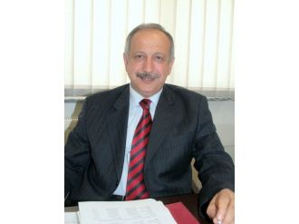 Ormanlardaki Meyve Ağaçları Kesilince Aç Kalan Ayılar Şehre İniyor