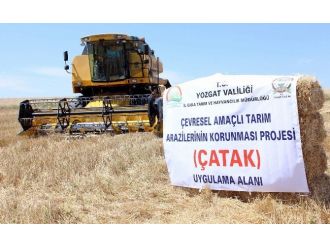 Yozgat’ta Çatak Kapsamında Deneme Eğitimi Yapılan Tarlada Hasat Gerçekleştirildi