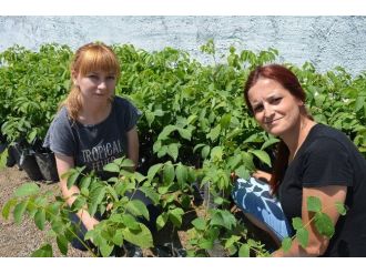 İki Genç Bayan Girişimci Ceviz Fidanlığı Danışmanlığı Yapıyor