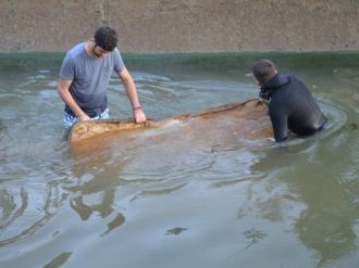 Sulama Kanalından Çıkanlar Şaşırttı