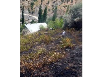 Adıyaman’da 2 Dönüm Bağ Yandı