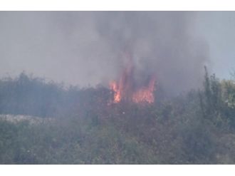 İstanbul’da Korkutan Yangın