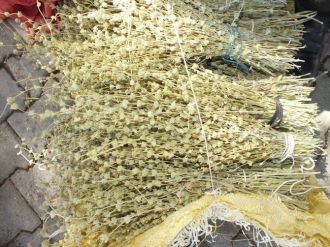 Şifa Kaynağı Dağ Çayı Satılmaya Başladı