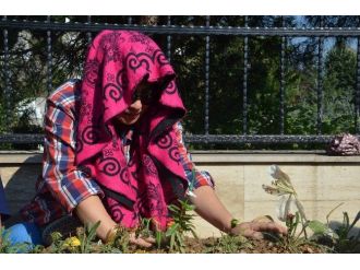 Vietnamlı Tuanvi, Şehit Eşinin Mezarında Gözyaşı Döktü
