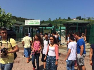Alman Gençler “Çocuk İşçiliğine Hayır” Demek İçin Fındık Topladı
