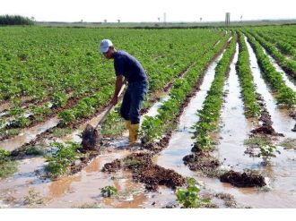 Kavurucu Sıcakların Altında Sulama
