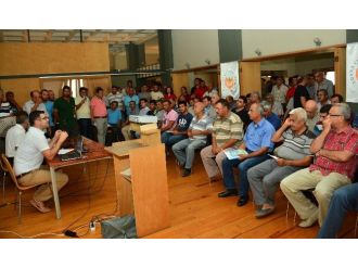 Sertifikası Olmayan Bitki İlaçlaması Yapamayacak