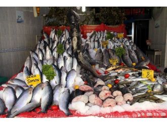 Balıkçıların Umudu Yeni Av Sezonu