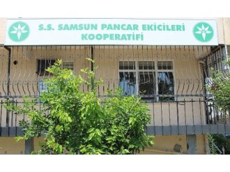 Pancar Üretimi Bitme Noktasında