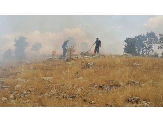 Adıyaman’da 5 Hektar Orman Alanı Kül Oldu