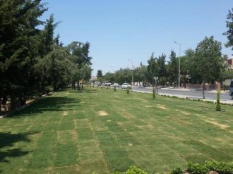 Didim Belediyesi’nden Peyzaj Ve Yeşillendirme Çalışması