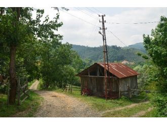 Aydınlatma Direğinden Düşerek Yaralandı