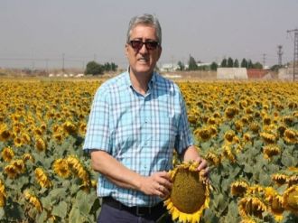 Bandırma’da Ayçiçeği Ekimi Değerlendirmesi