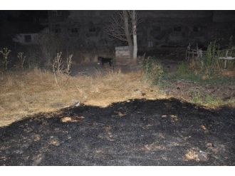 Sivas’ta Anız Yangını