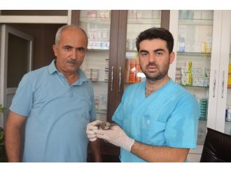 Yaralı Kuş’a, Şefkat Eli