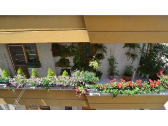 Keçiören’de En Güzel Balkon, Bahçe, Pencere Seçiliyor